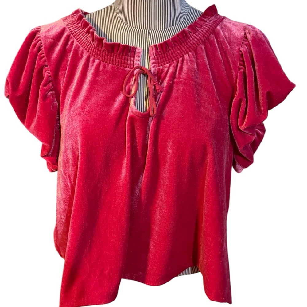 Free People Boho Velvet Pink Ruffle Sleeve Blouse